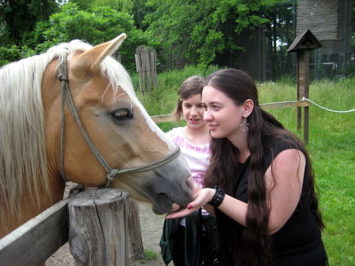 (13.-16.5.2010. РС, Нови Сад) Ветеринарска медицина у Балканској регији. Образовање и пракса. Тренутно стање и изазови